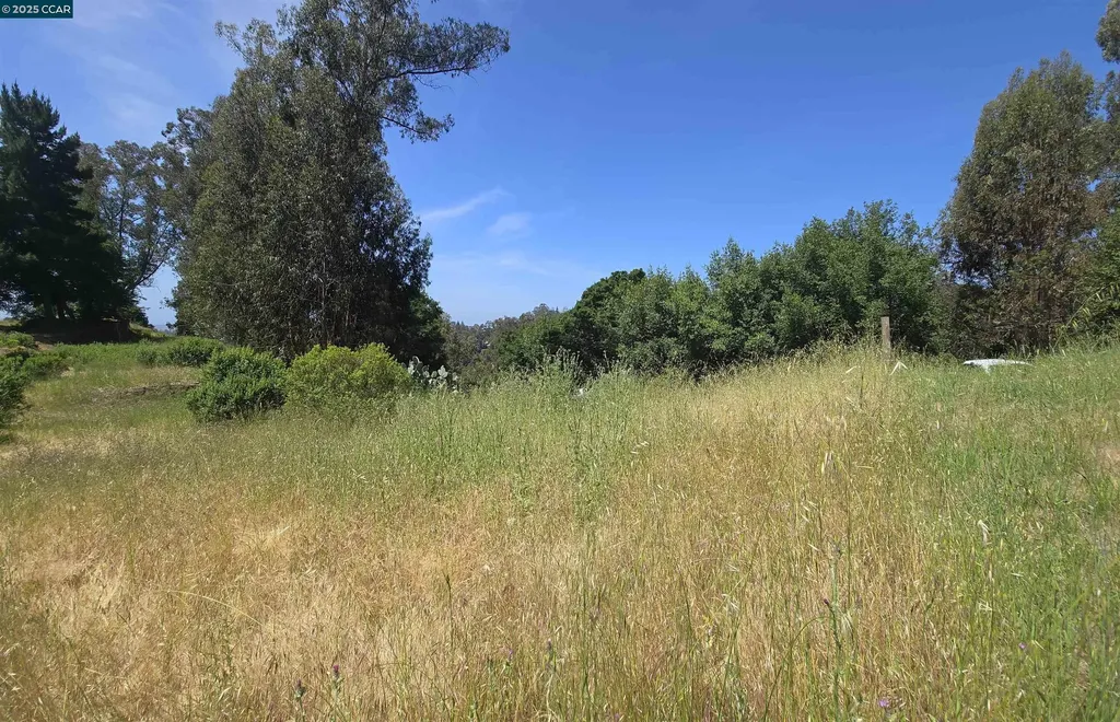6595 Thorndale Drive Oakland CA 94611