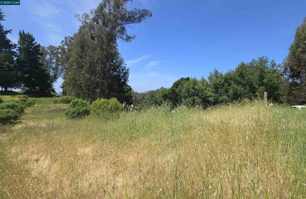 6595 Thorndale Drive Oakland CA 94611