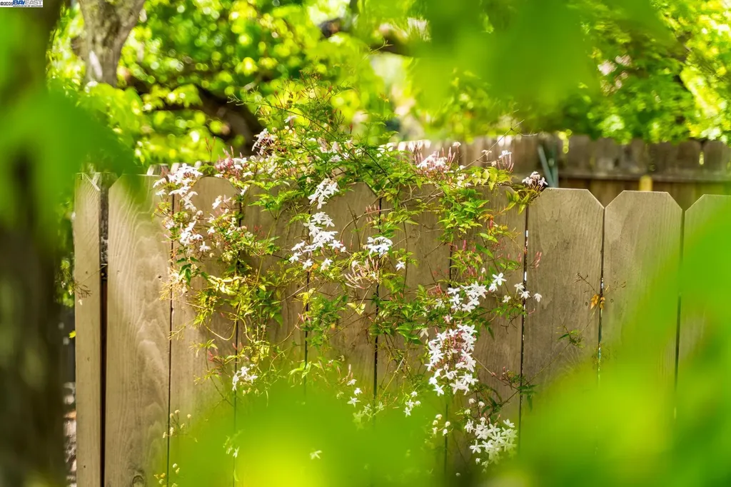 484 El Pintado Road Danville CA 94526