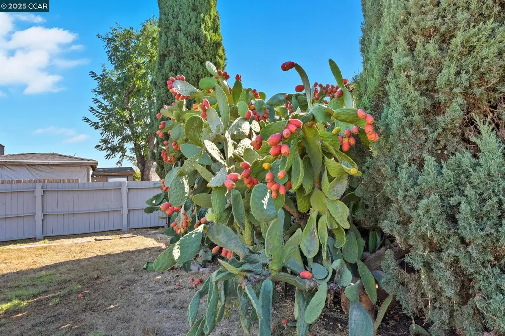 4108 Irene Drive Martinez CA 94553