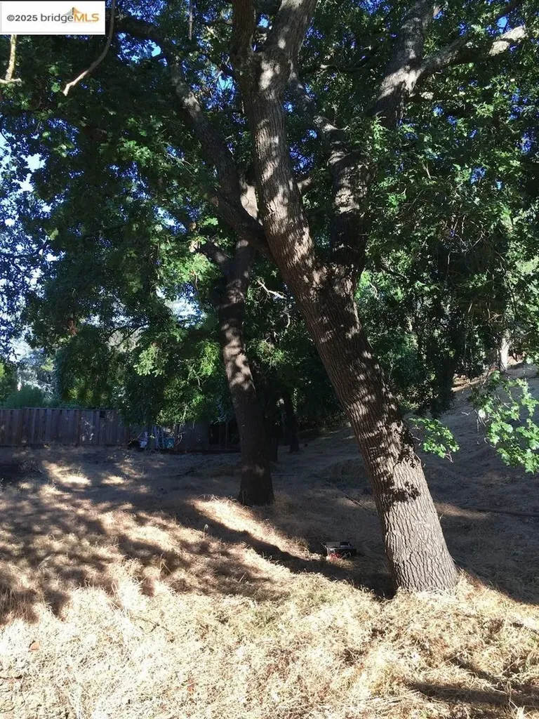 1032 Millbrook Court Walnut Creek CA 94598