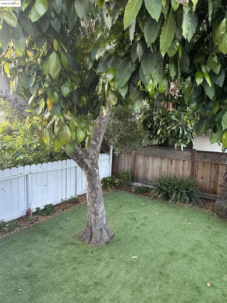 2628 School Street Oakland CA 94602