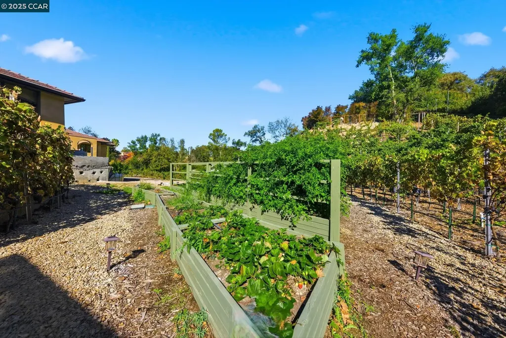 8 Quiet Country Lane Danville CA 94526