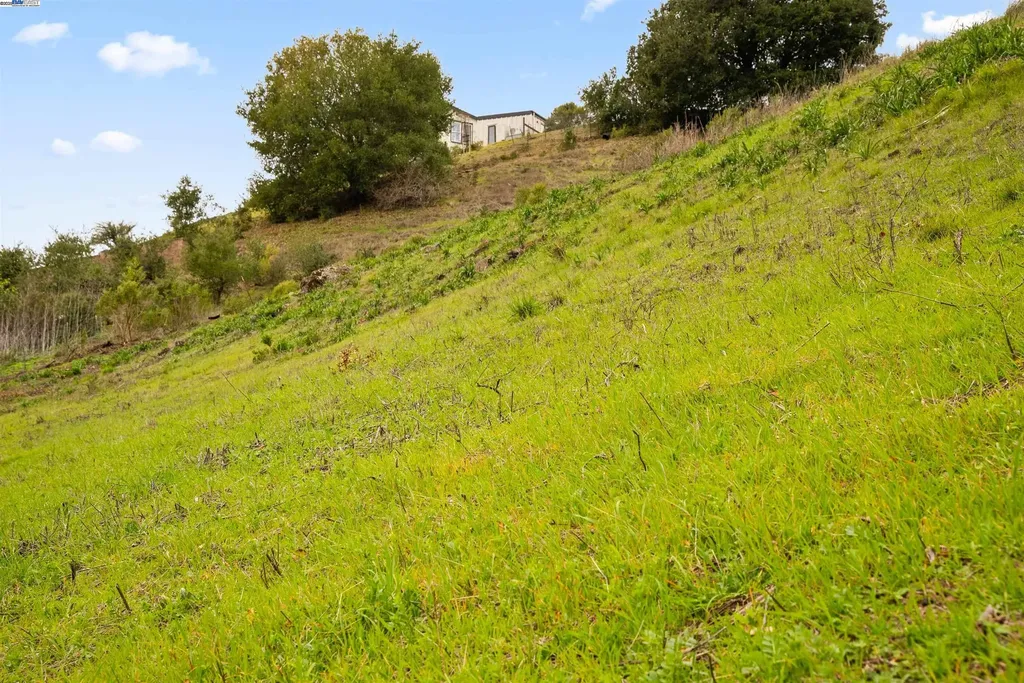 20 Oak Court Orinda CA 94563