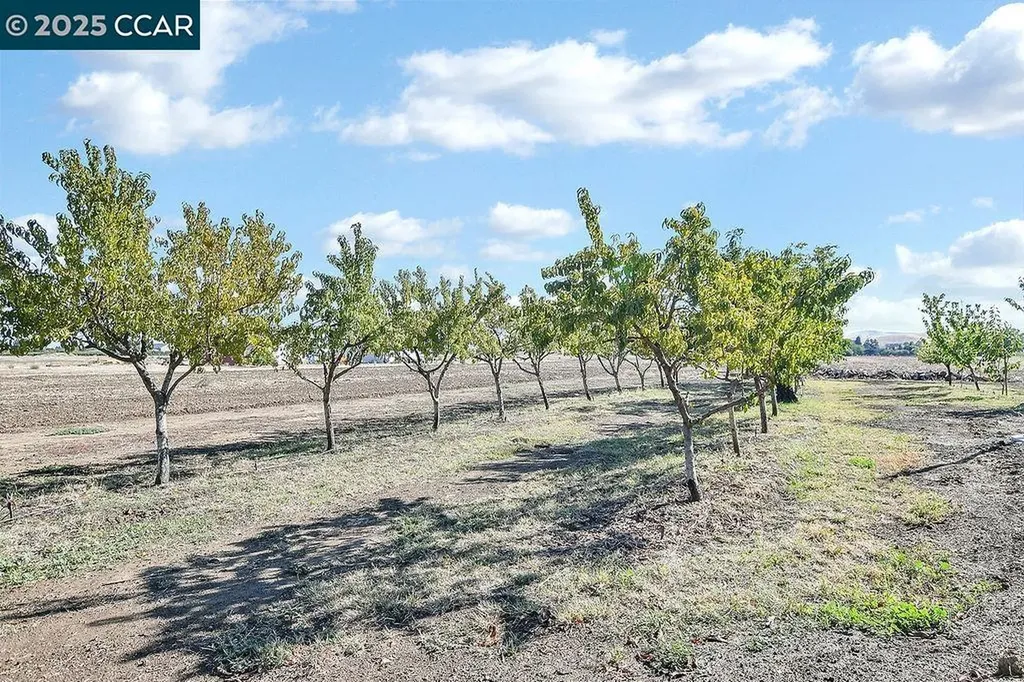 2280 Concord Avenue Brentwood CA 94513