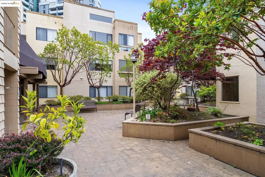 545 Pierce Street Albany CA 94706