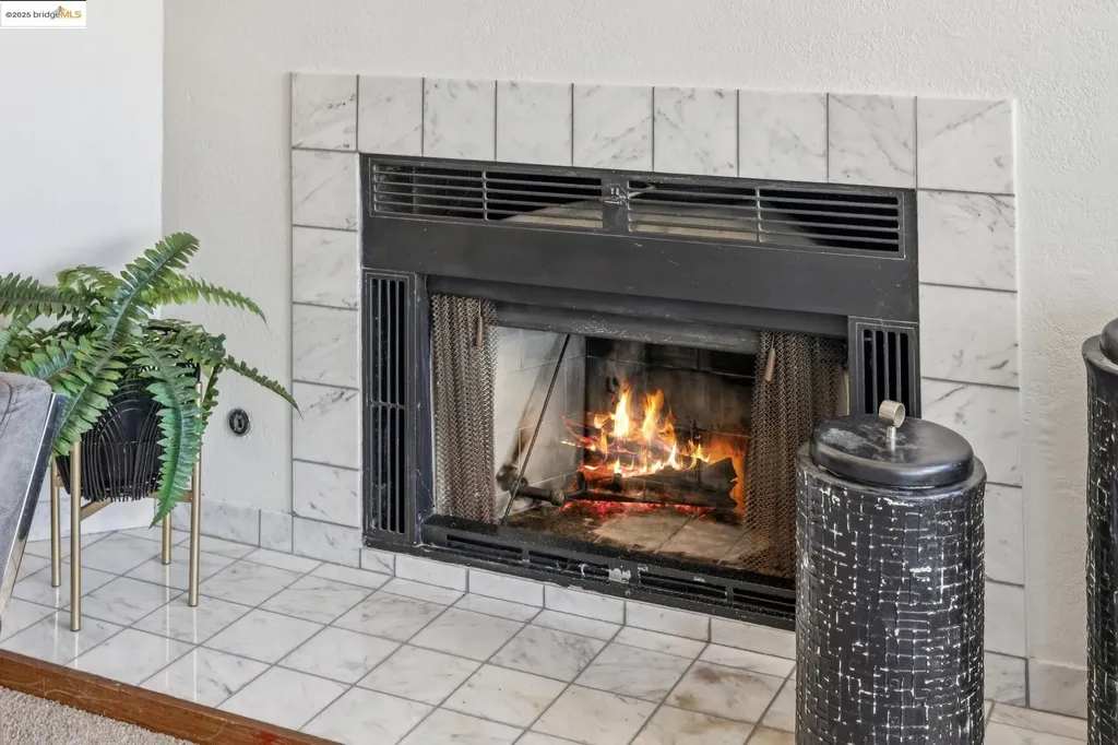 545 Pierce Street Albany CA 94706