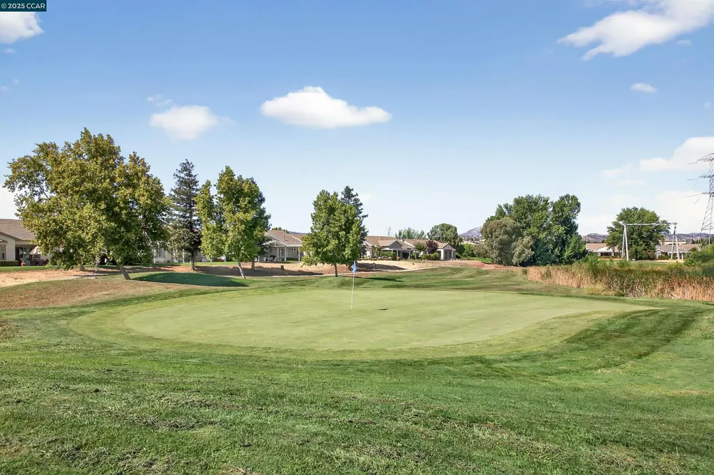 281 Black Amber Way Brentwood CA 94513