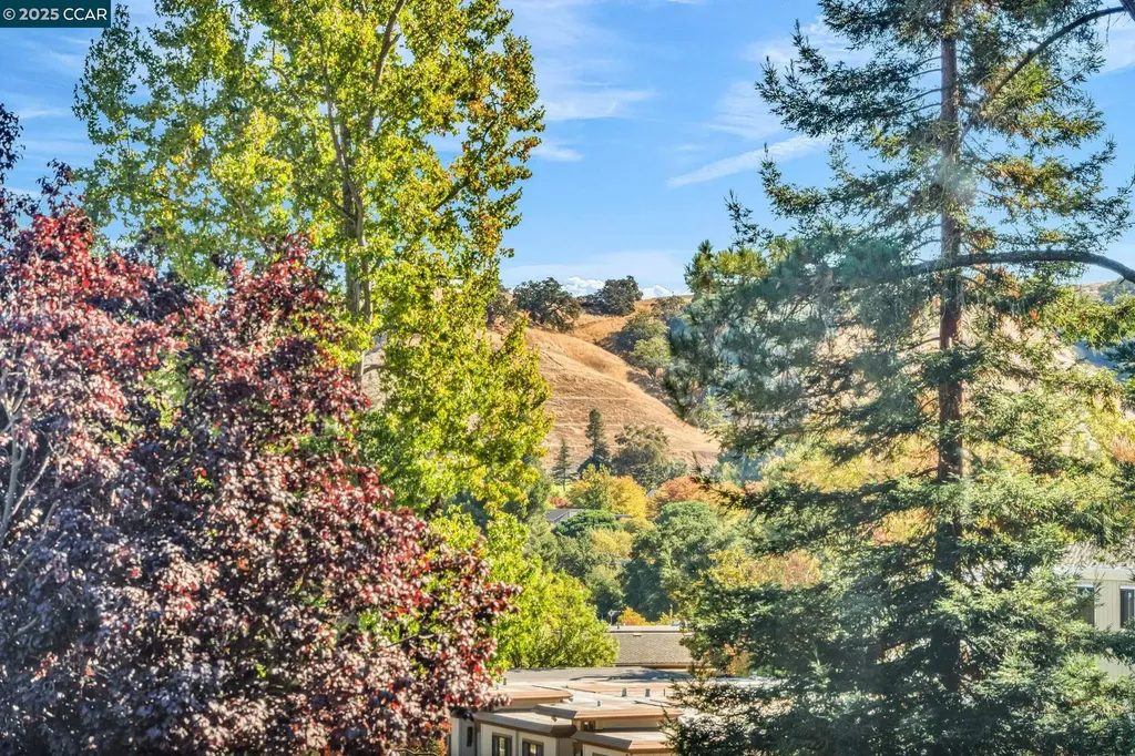 1200 Leisure Lane Walnut Creek CA 94595