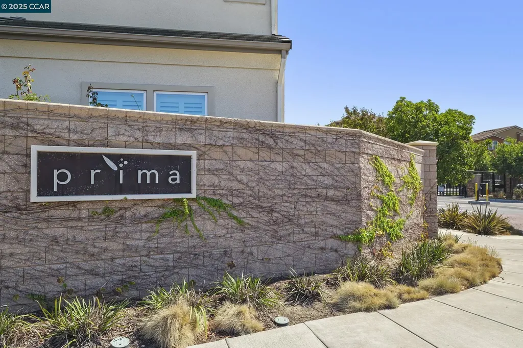 38976 Primula Terrace Newark CA 94560