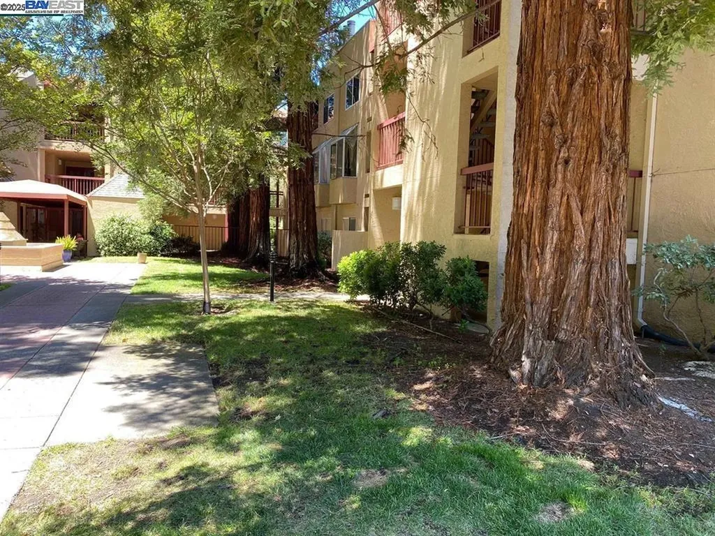 1310 Walden Road Walnut Creek CA 94597