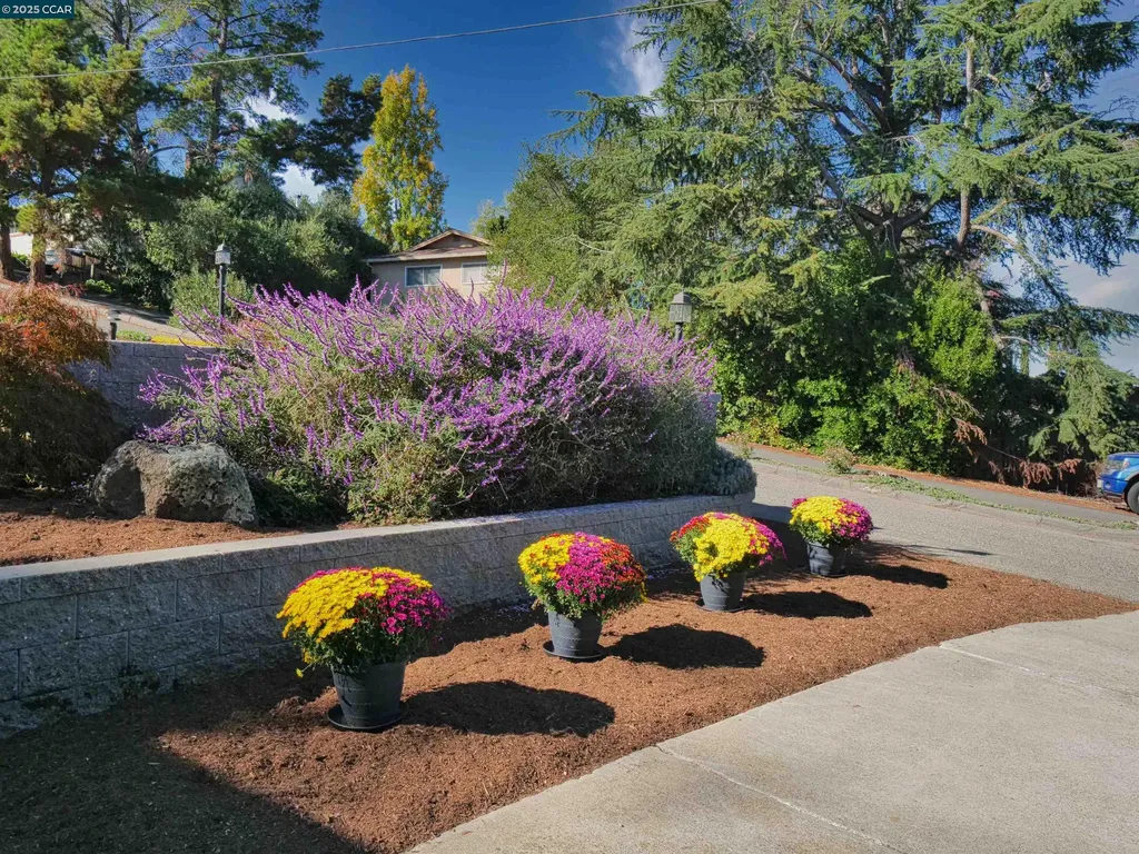 4044 Cowell Road Concord CA 94521