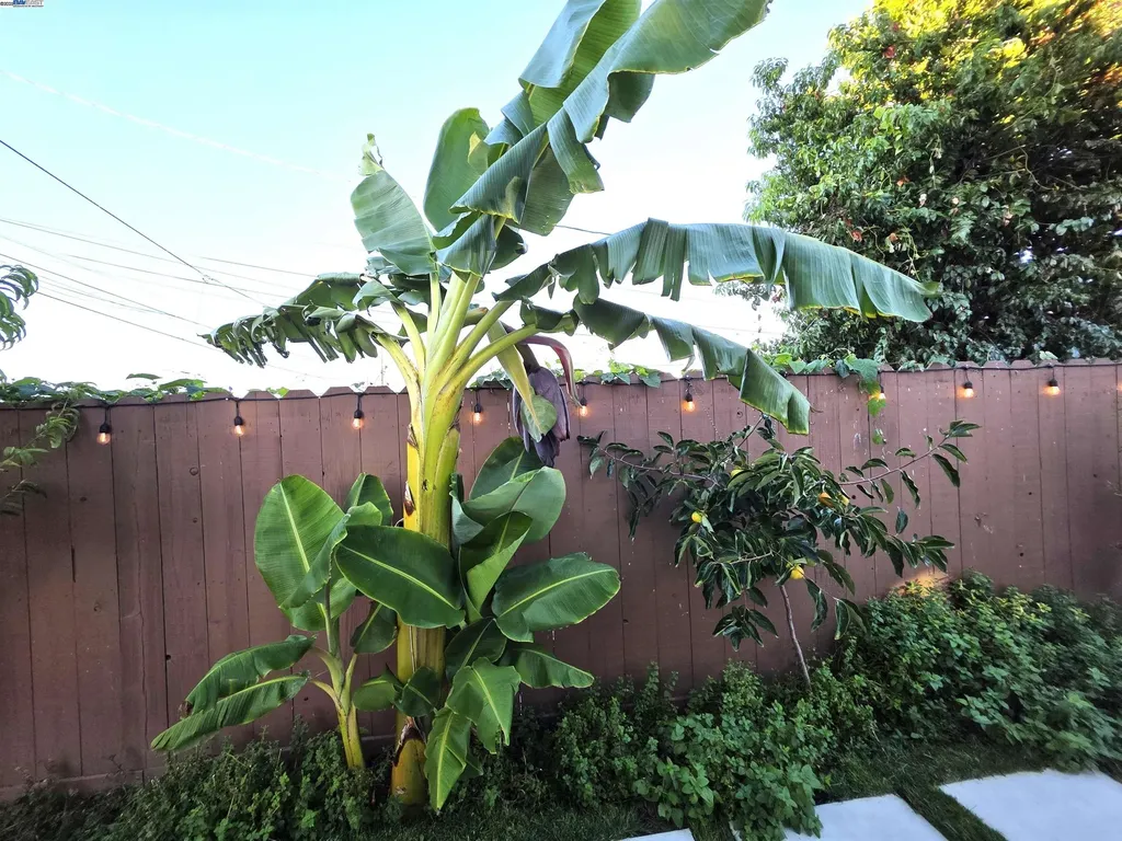 10468 West Court Oakland CA 94603