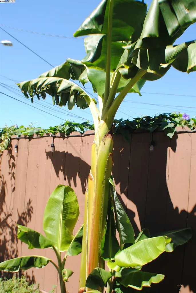 10468 West Court Oakland CA 94603