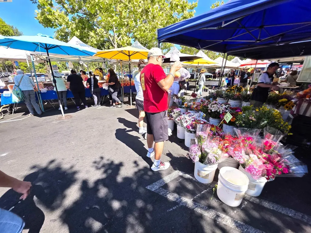 10468 West Court Oakland CA 94603