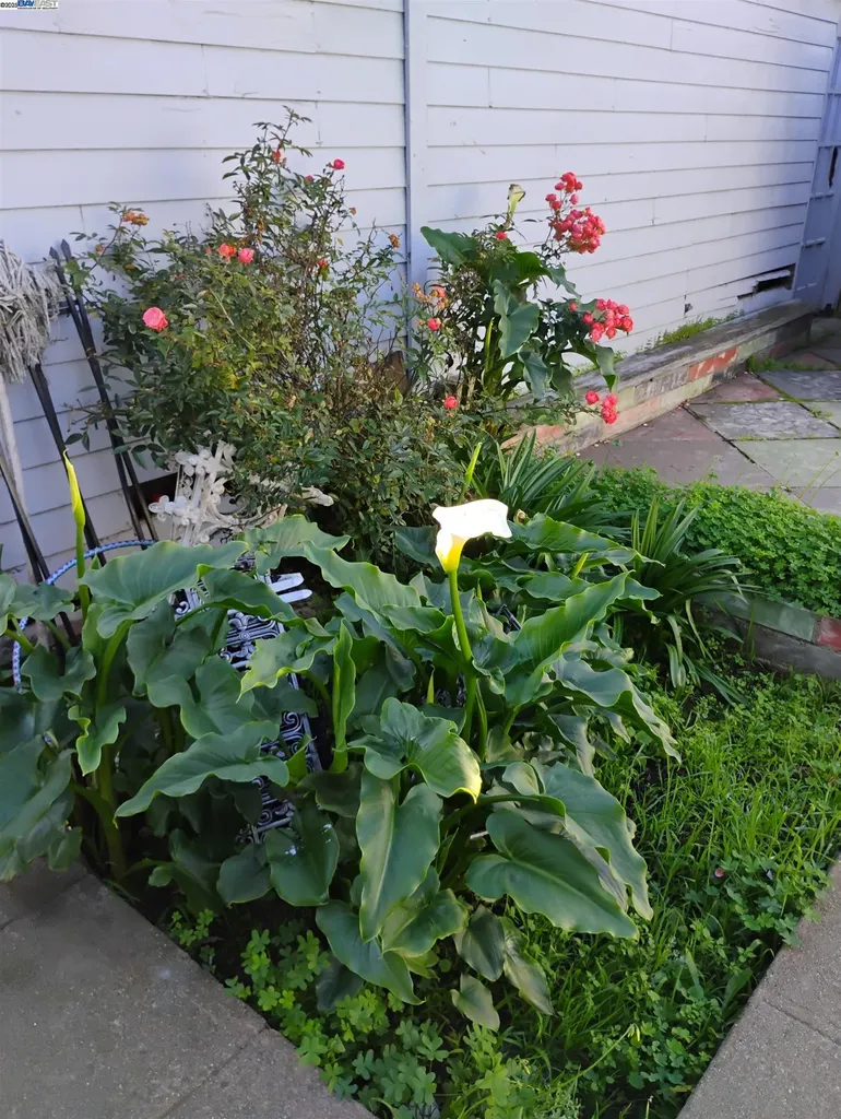 2621 66th Avenue Oakland CA 94605