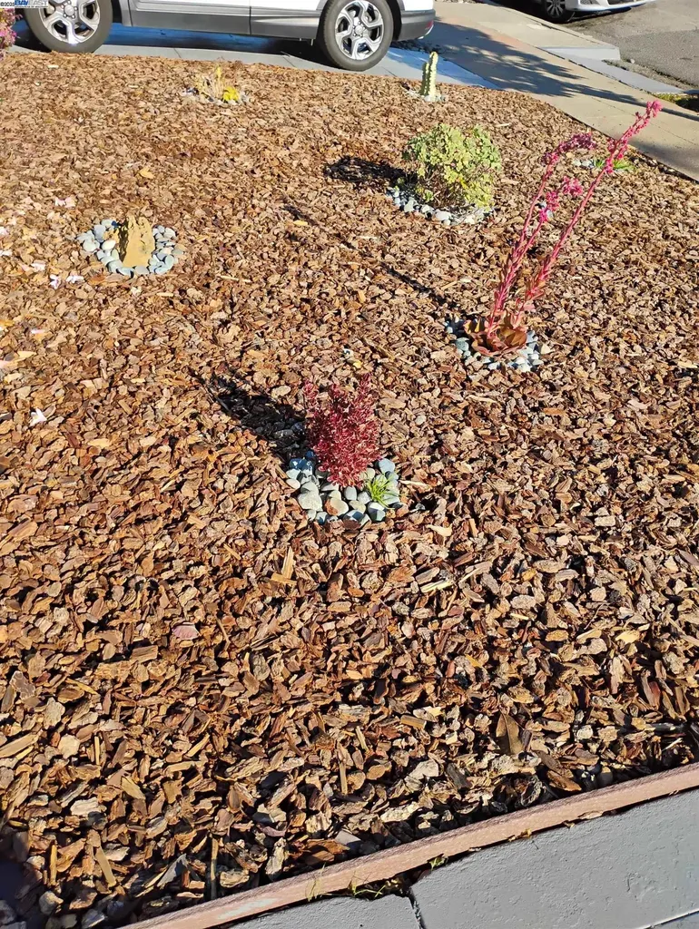 2621 66th Avenue Oakland CA 94605