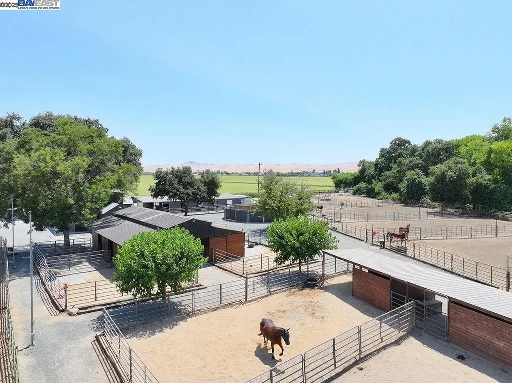 3335 Kellogg Creek Road Byron CA 94514