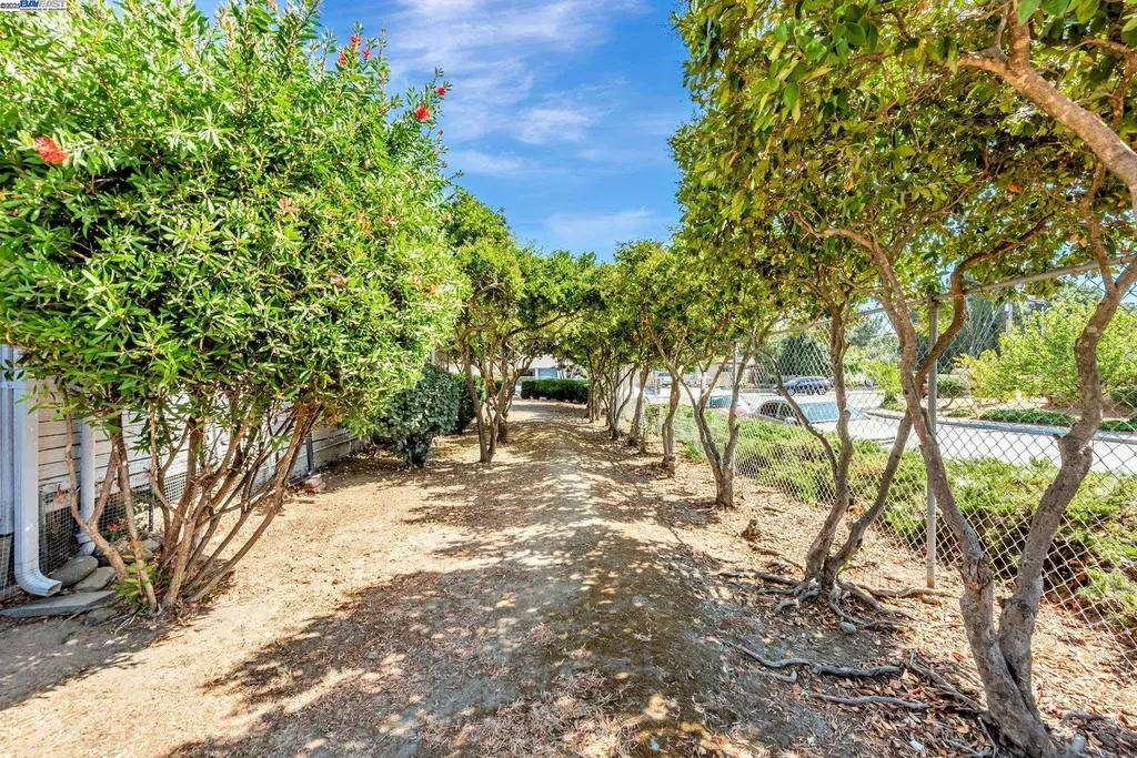 37915 Vallejo Street Fremont CA 94536