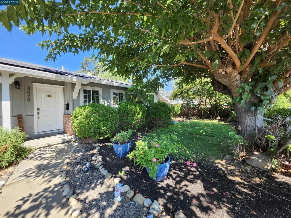 3479 Rose Court Concord CA 94519