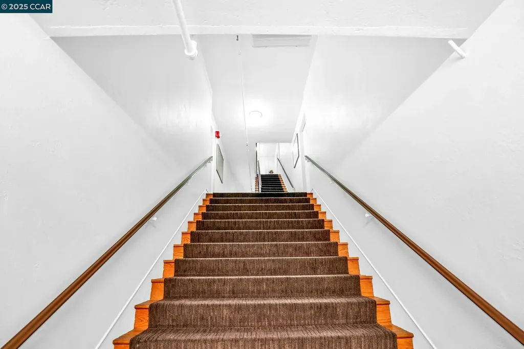 1919 Curtis Berkeley CA 94702