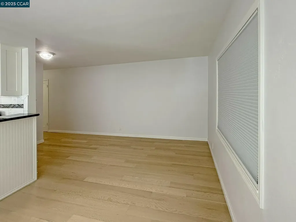 1919 Curtis Berkeley CA 94702