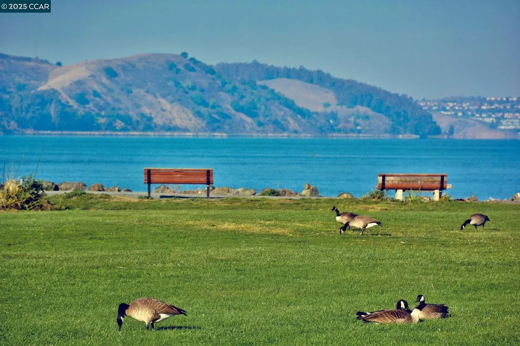 236 Buckley Street Martinez CA 94553