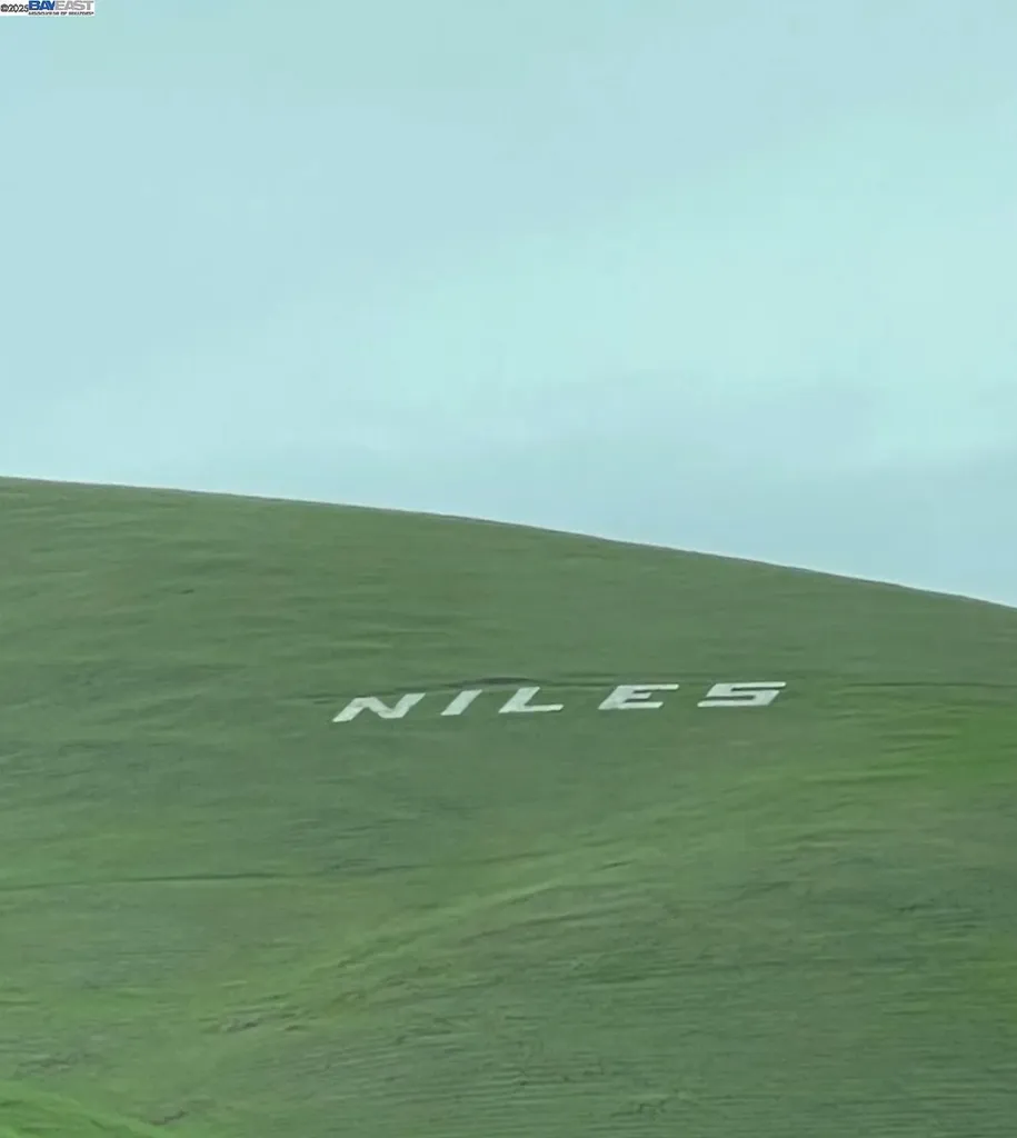 37230 2nd Street Fremont CA 94536