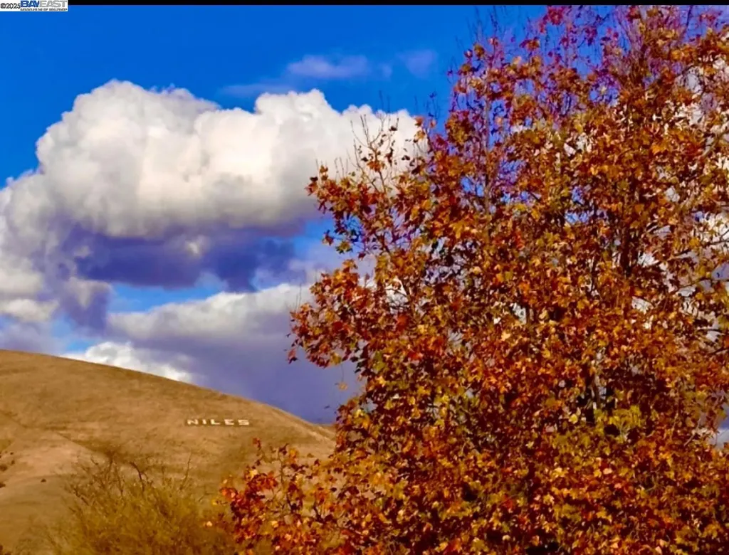 37230 2nd Street Fremont CA 94536