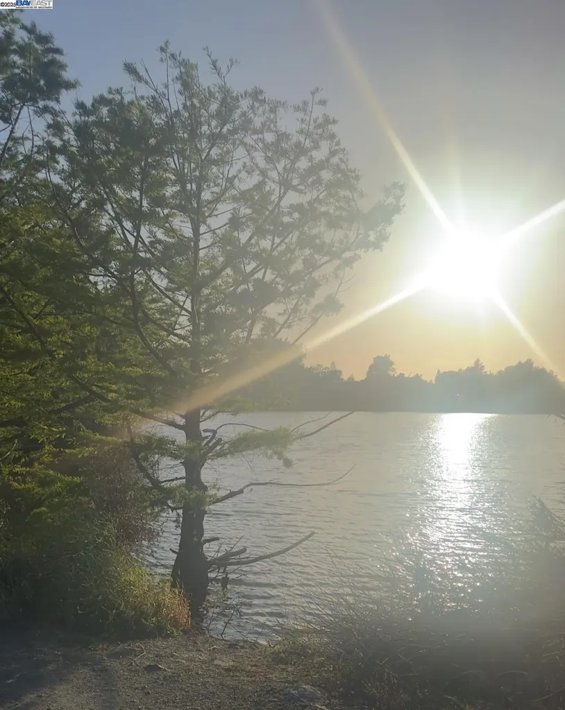 37230 2nd Street Fremont CA 94536