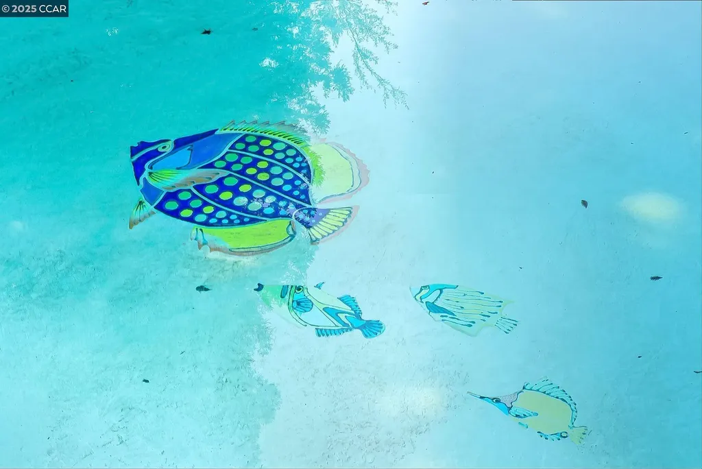 4355 Quail Run Lane Danville CA 94506