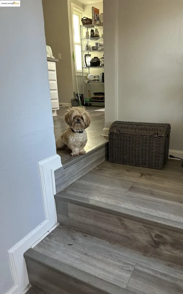 2816 Viola Street Oakland CA 94619