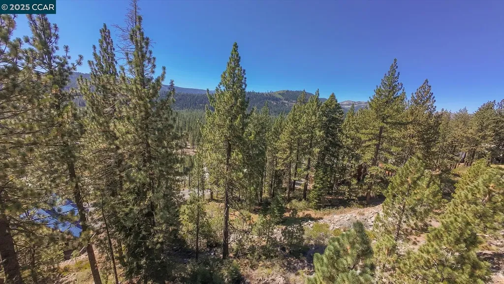 12605 Sierra Drive Truckee CA 96161