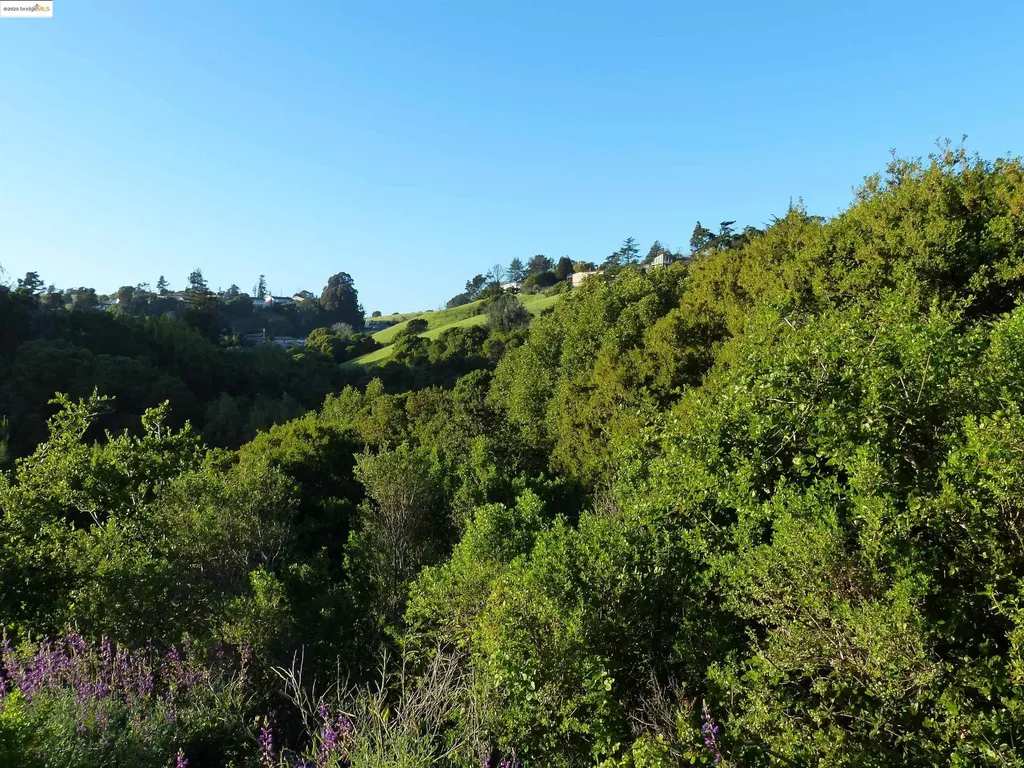11275 Kerrigan Drive Oakland CA 94605