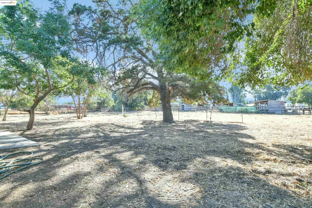 31 Mcfarlan Road Brentwood CA 94548