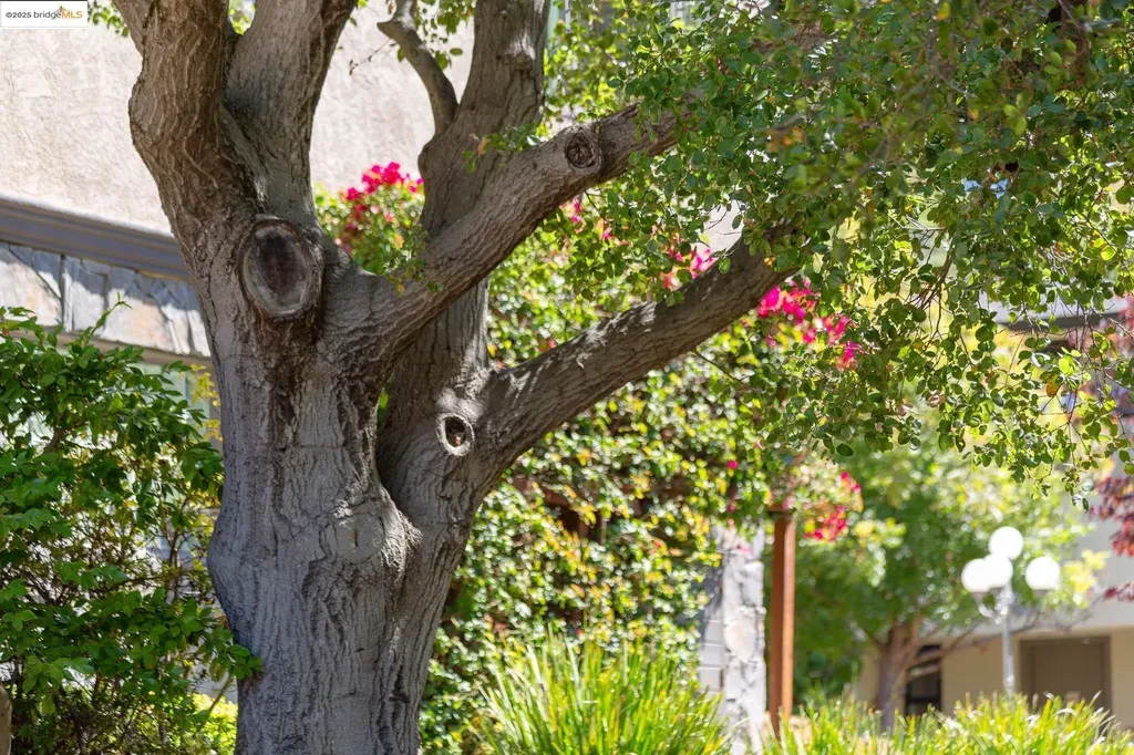 6330 Swainland Road Oakland CA 94611