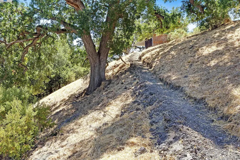 1923 Green Valley Road Alamo CA 94507