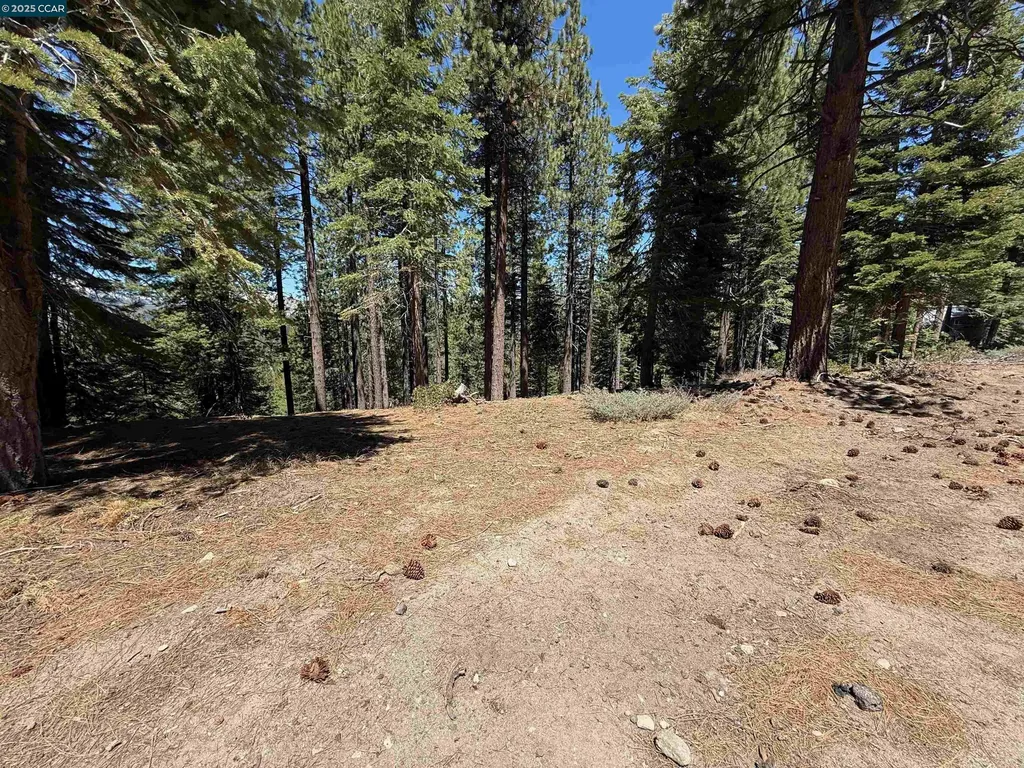 1578 Skyline Drive South Lake Tahoe CA 96150