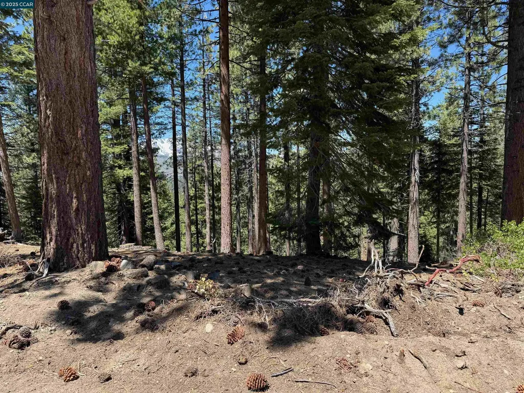1578 Skyline Drive South Lake Tahoe CA 96150