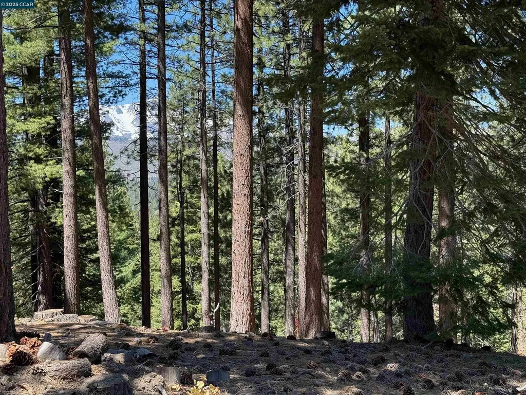 1578 Skyline Drive South Lake Tahoe CA 96150
