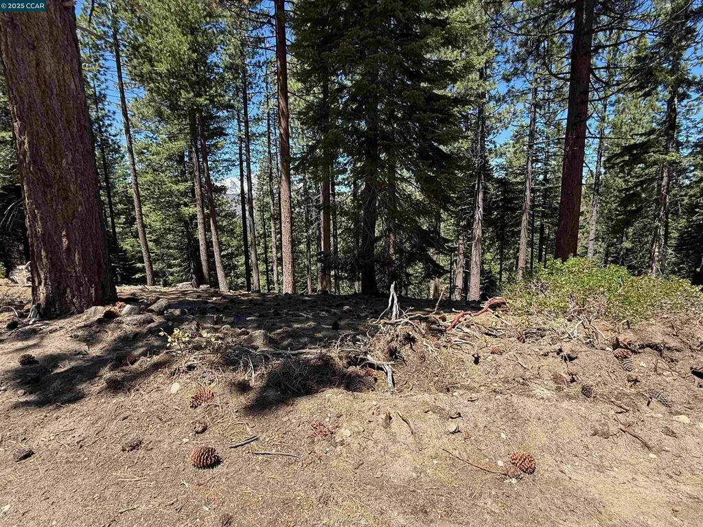 1578 Skyline Drive South Lake Tahoe CA 96150