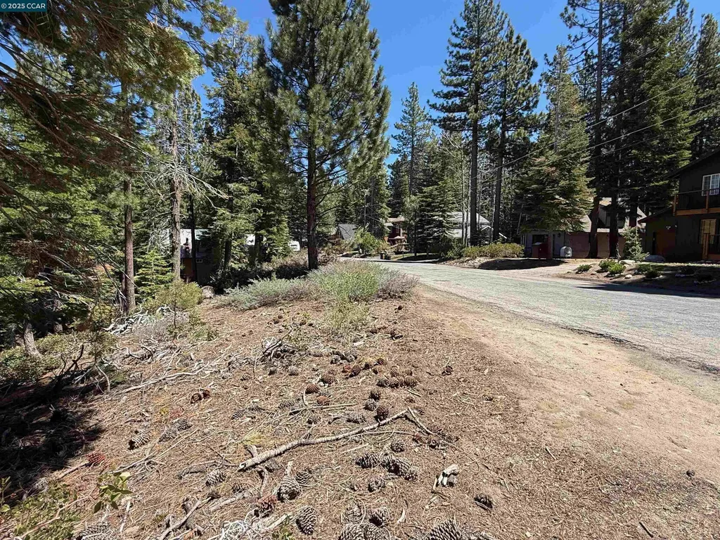 1578 Skyline Drive South Lake Tahoe CA 96150