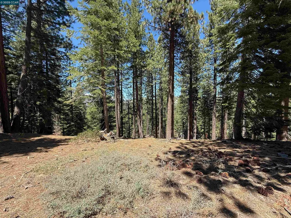 1578 Skyline Drive South Lake Tahoe CA 96150