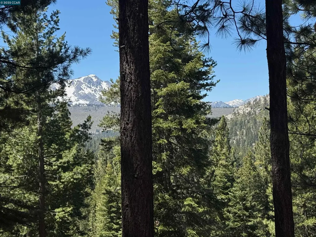 1578 Skyline Drive South Lake Tahoe CA 96150
