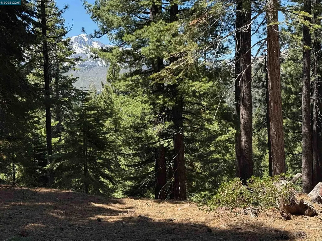 1578 Skyline Drive South Lake Tahoe CA 96150