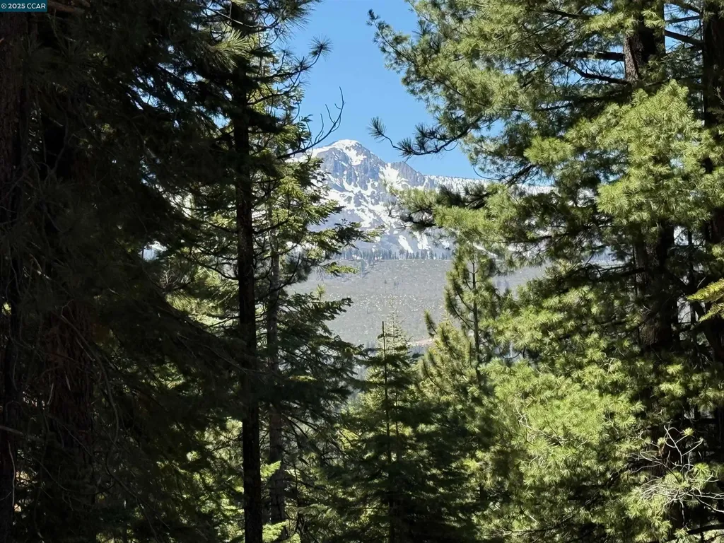 1578 Skyline Drive South Lake Tahoe CA 96150