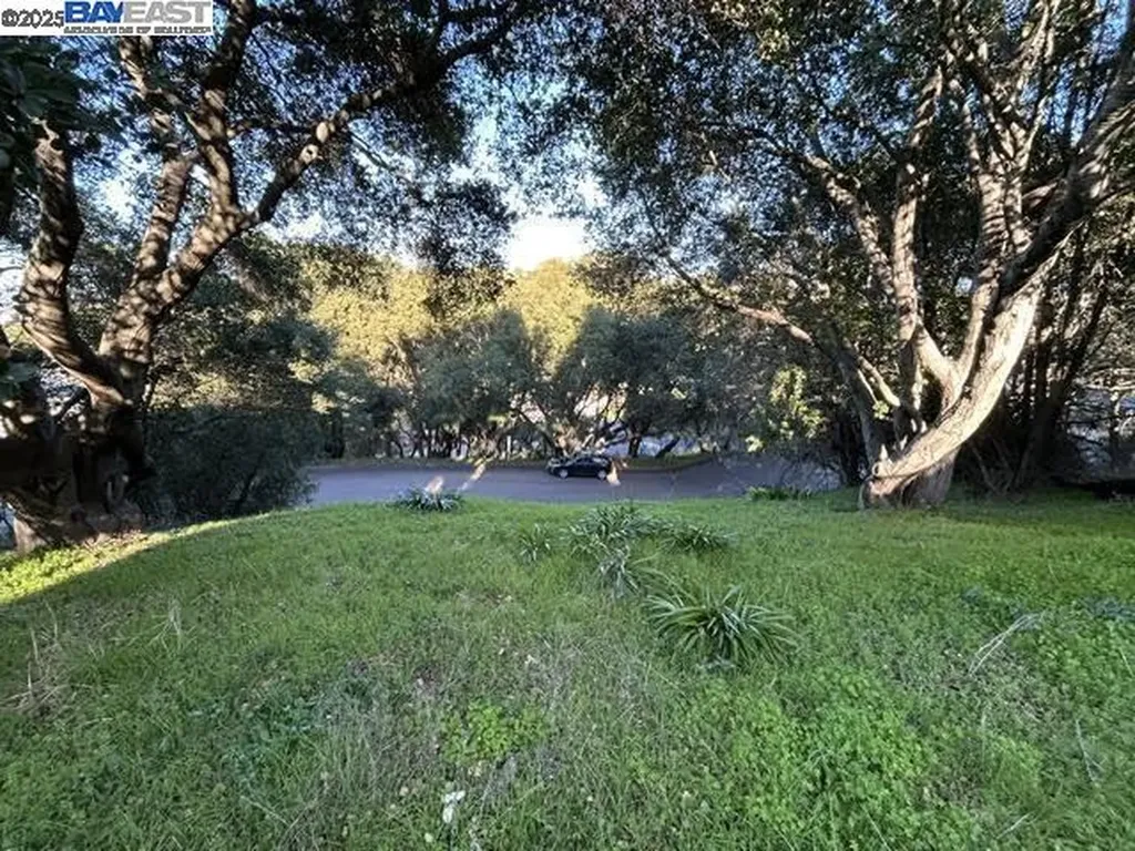 Morse Avenue Hayward CA 94542