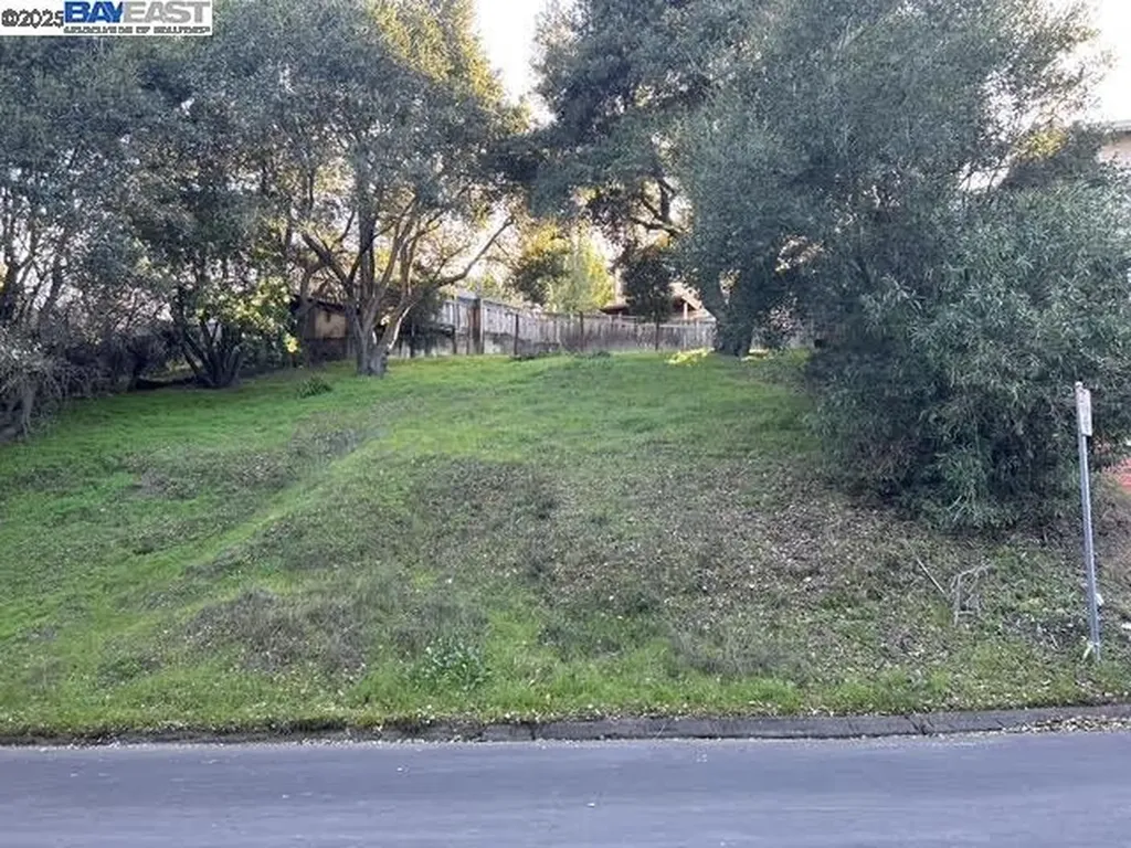 Morse Avenue Hayward CA 94542
