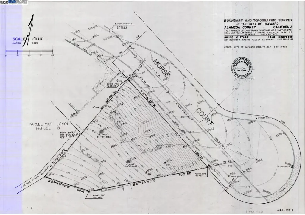 Morse Avenue Hayward CA 94542