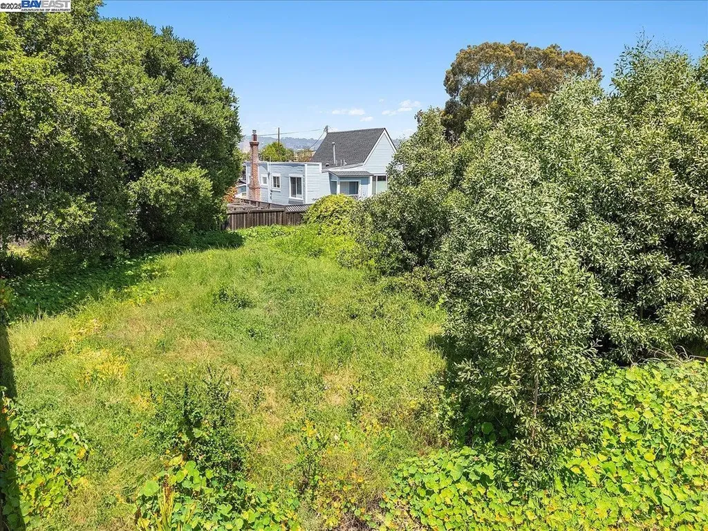 310 Spruce Street Alameda CA 94501